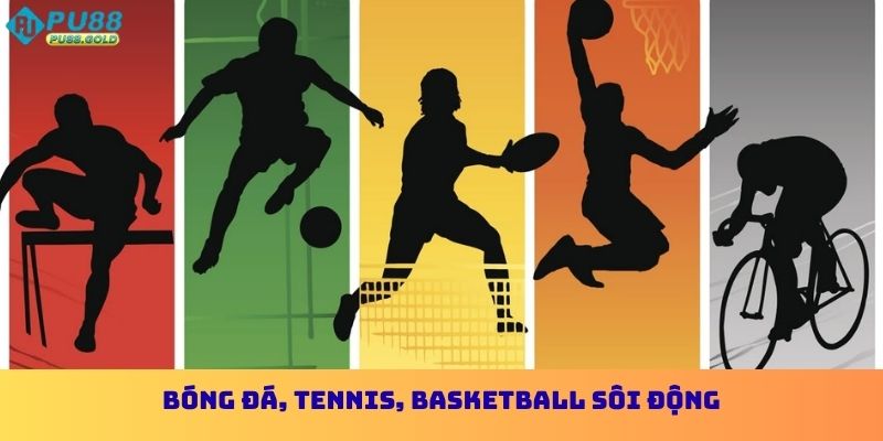Bóng đá, tennis, basketball sôi động