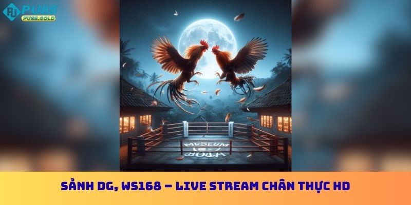 Sảnh DG, WS168 – Live stream chân thực HD